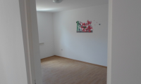 Vila|Casa de vanzare - Pantelimon, Ilfov