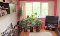 Apartament|Garsoniera de vanzare - Sector 1, Bucuresti