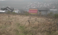 Teren de vanzare - Iasi, Iasi