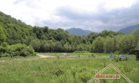 Teren de vanzare - Fagaras, Brasov