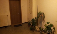 Apartament|Garsoniera de inchiriat - Sector 3, Bucuresti