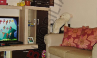 Apartament|Garsoniera de inchiriat - , Bucuresti