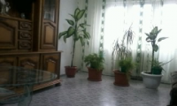 Apartament|Garsoniera de vanzare - Motru, Gorj
