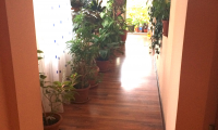 Vila|Casa de vanzare - Sector 4, Bucuresti