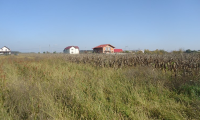 Teren de vanzare - Ciorogarla, Ilfov