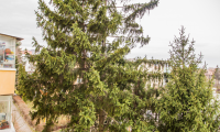 Apartament|Garsoniera de vanzare - Brasov, Brasov