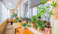 Apartament|Garsoniera de vanzare - Brasov, Brasov