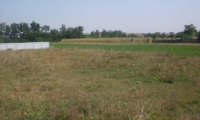 Teren de vanzare - Botosani, Botosani