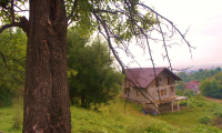 Vila|Casa de vanzare - Sacele, Brasov