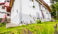 Vila|Casa de vanzare - Brasov, Brasov