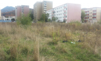 Teren de vanzare - Brasov, Brasov