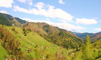 Vila|Casa de vanzare - Bran, Brasov