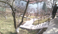 Vila|Casa de inchiriat - Brasov, Brasov