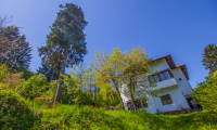 Vila|Casa de vanzare - Brasov, Brasov