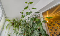 Apartament|Garsoniera de vanzare - Brasov, Brasov