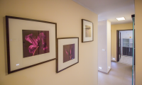 Apartament|Garsoniera de inchiriat - Brasov, Brasov