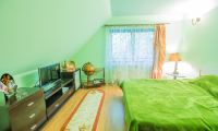 Vila|Casa de vanzare - Sacele, Brasov