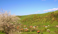 Vila|Casa de vanzare - Brasov, Brasov