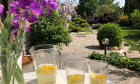 Vila|Casa de inchiriat - Brasov, Brasov