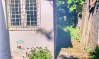 Vila|Casa de vanzare - Brasov, Brasov