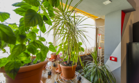 Apartament|Garsoniera de vanzare - Brasov, Brasov