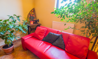 Vila|Casa de vanzare - Brasov, Brasov