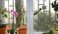 Apartament|Garsoniera de vanzare - Constanta, Constanta