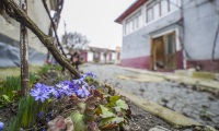 Vila|Casa de vanzare - Brasov, Brasov