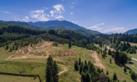 Teren de vanzare - Brasov, Brasov