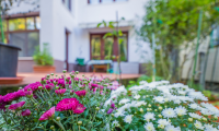 Vila|Casa de vanzare - Brasov, Brasov