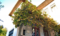 Vila|Casa de vanzare - Sacele, Brasov