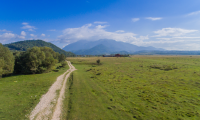 Teren de vanzare - Rasnov, Brasov