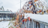 Vila|Casa de vanzare - Brasov, Brasov