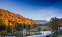 Apartament|Garsoniera de vanzare - Brasov, Brasov
