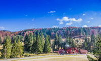 Vila|Casa de vanzare - Brasov, Brasov