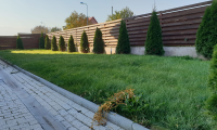 Vila|Casa de inchiriat - Brasov, Brasov