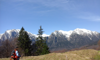 Teren de vanzare - Rasnov, Brasov