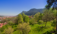 Vila|Casa de vanzare - Brasov, Brasov