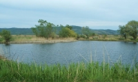 Teren de vanzare - Deva, Hunedoara
