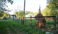 Vila|Casa de vanzare - Bitina-pamanteni, Ialomita