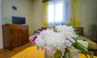 Vila|Casa de vanzare - Brasov, Brasov