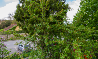 Apartament|Garsoniera de vanzare - Brasov, Brasov