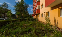 Apartament|Garsoniera de vanzare - Brasov, Brasov