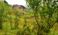 Vila|Casa de vanzare - Brasov, Brasov