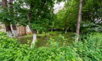 Apartament|Garsoniera de vanzare - Brasov, Brasov