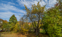 Teren de vanzare - Brasov, Brasov