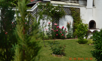 Vila|Casa de vanzare - Brasov, Brasov