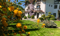 Vila|Casa de inchiriat - Brasov, Brasov