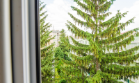 Apartament|Garsoniera de vanzare - Brasov, Brasov
