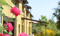 Vila|Casa de inchiriat - Ghimbav, Brasov